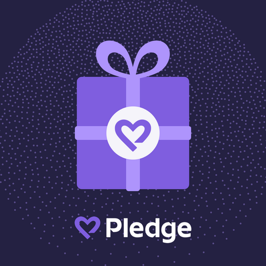 Donation to Supporting LGBTQ+ youth